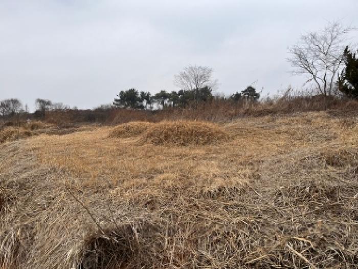정읍시 덕천면 신월리 임야 경매 물건 사진