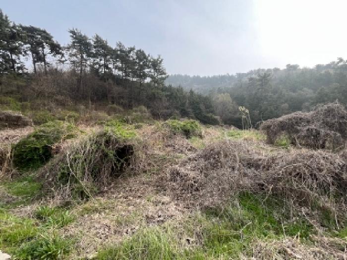 고창군 부안면 선운리 전답 경매 물건 사진