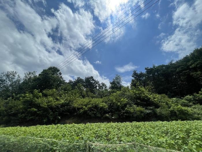 장수군 산서면 신창리 전 경매 물건 사진