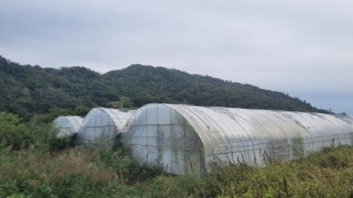 장수군 천천면 삼고리 답 경매 물건 사진