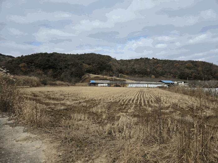 남원시 운봉읍 준향리 답 경매 물건 사진