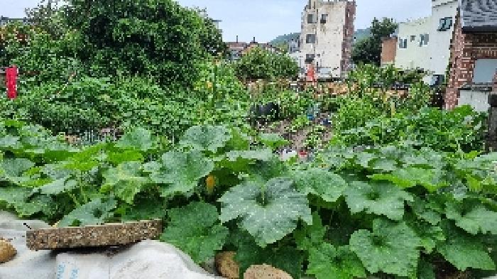 남원시 쌍교동 31 대지 경매 물건 사진