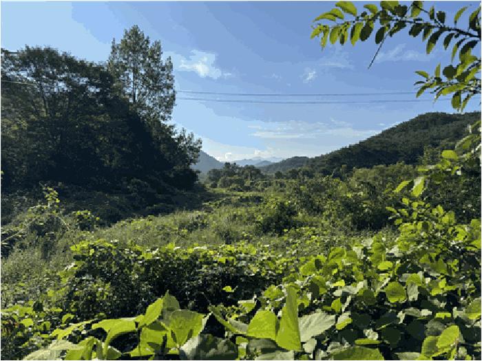 순창군 적성면 석산리 답 경매 물건 사진