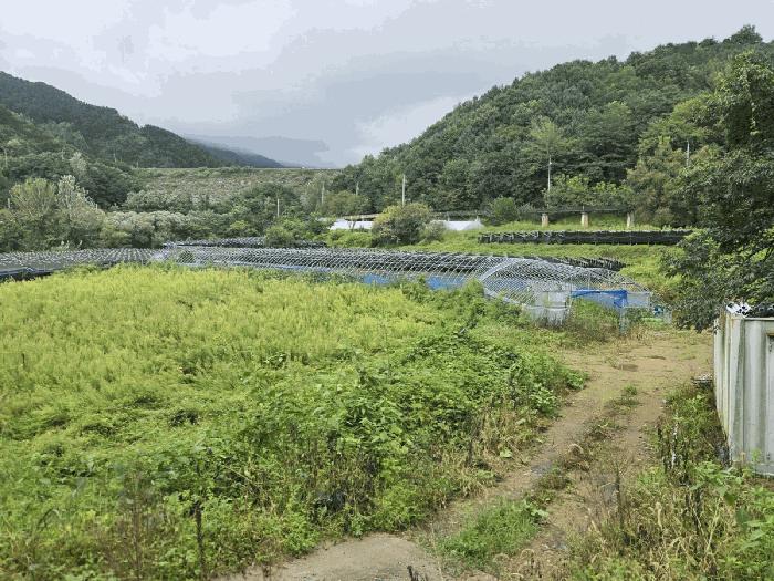 장수군 계북면 원촌리 답 경매 물건 사진