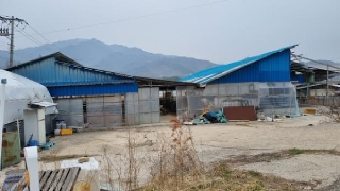 장수군 계북면 원촌리 동물및식물관련시설 경매 물건 사진