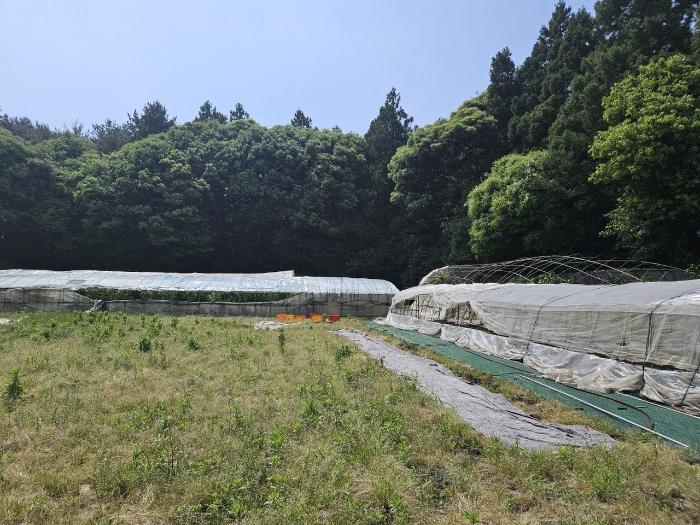 서귀포시 표선면 토산리 전 경매 물건 사진