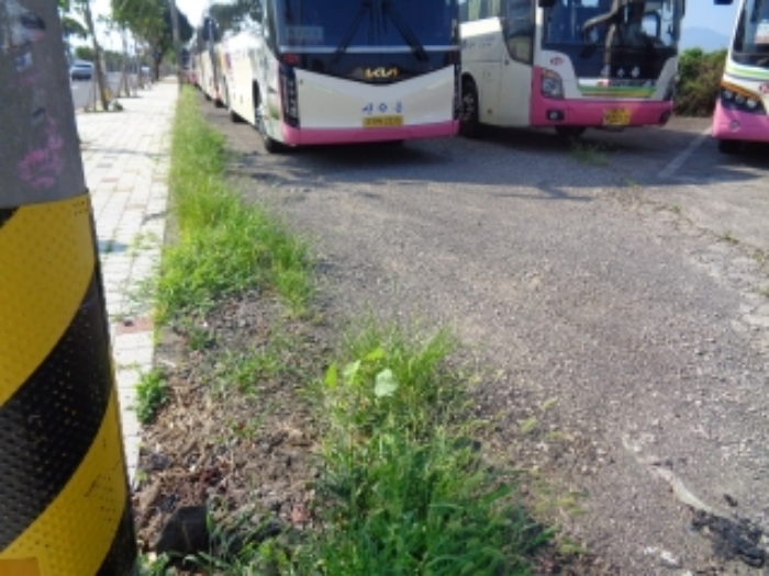 제주시 한림읍 금악리 전 경매 물건 사진