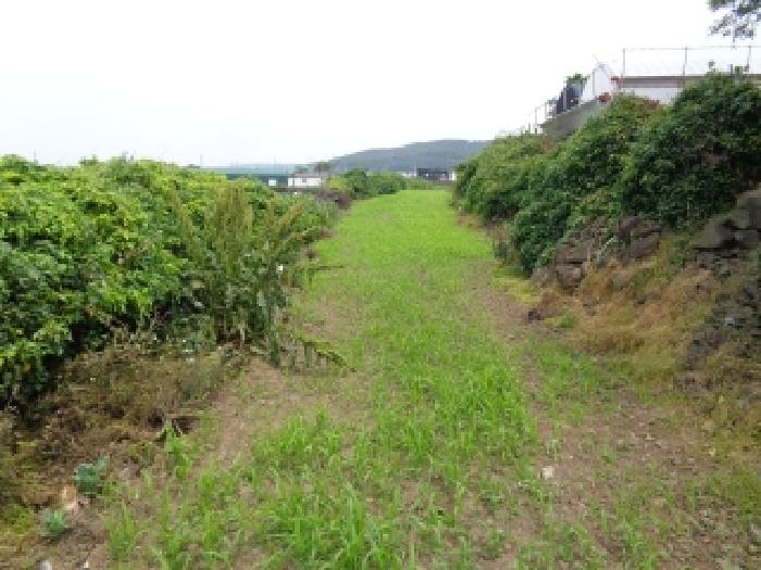 제주시 한림읍 귀덕리 전 경매 물건 사진