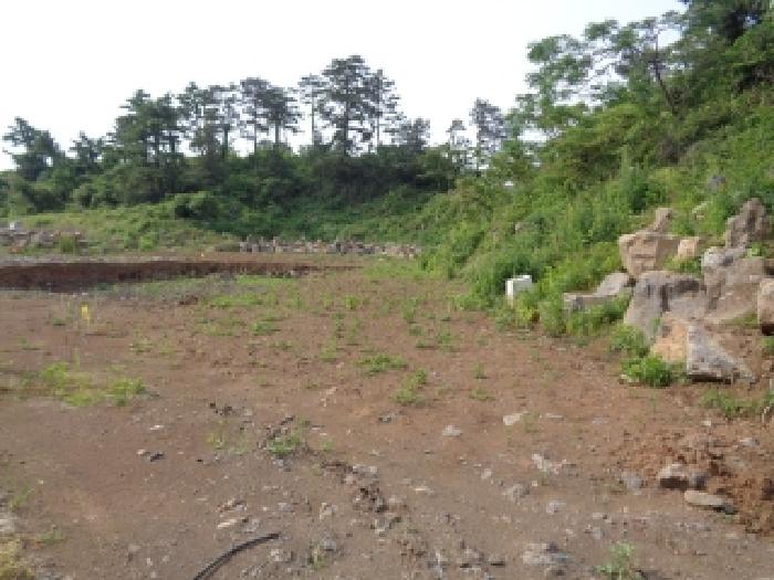 제주시 애월읍 고내리 상가,오피스텔,근린시설 경매 물건 사진