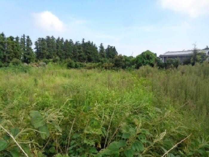서귀포시 안덕면 상창리 전 경매 물건 사진