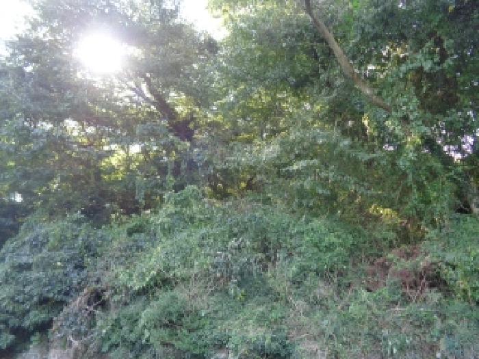 서귀포시 안덕면 덕수리 임야 경매 물건 사진