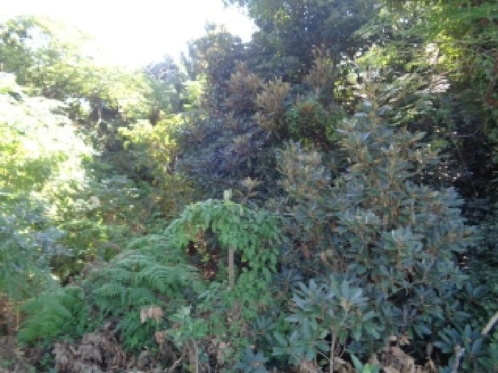 제주시 한경면 용수리 대지,임야,전답 경매 물건 사진