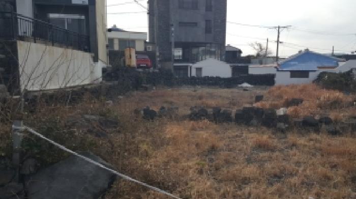 제주시 구좌읍 월정리 대지 경매 물건 사진