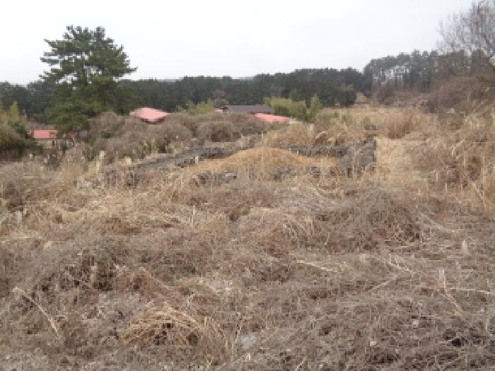 제주시 애월읍 고성리 단독주택 경매 물건 사진