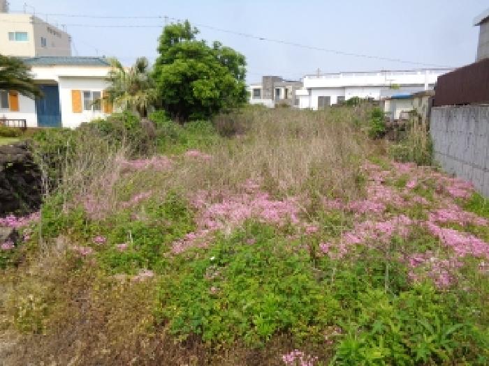 제주시 애월읍 신엄리 대지 경매 물건 사진