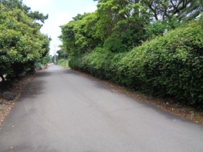 서귀포시 상예동 4619-6 숙박시설 경매 물건 사진