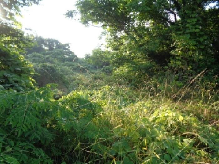 제주시 한림읍 협재리 전 경매 물건 사진
