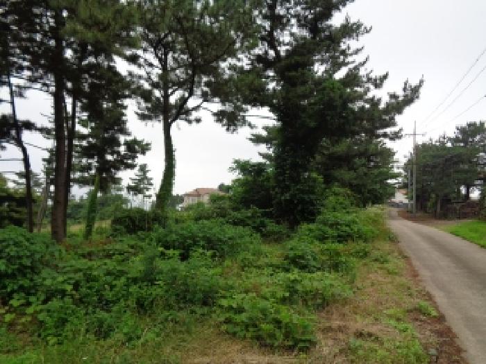 서귀포시 안덕면 덕수리 전 경매 물건 사진