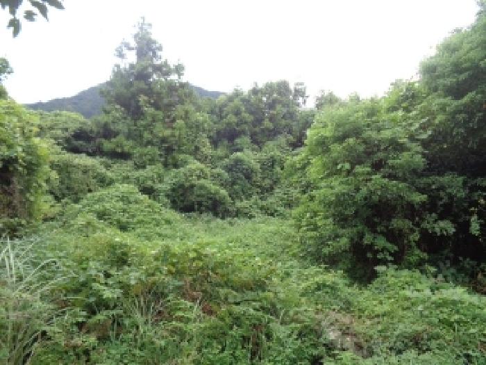 서귀포시 안덕면 사계리 전 경매 물건 사진