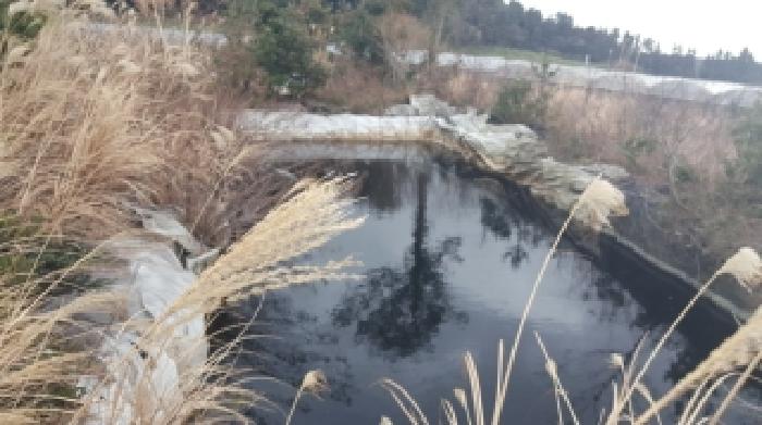 서귀포시 표선면 가시리 임야 경매 물건 사진