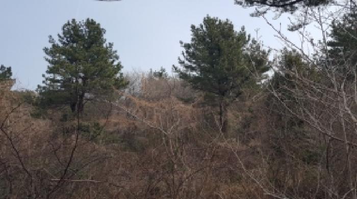 서귀포시 남원읍 한남리 임야 경매 물건 사진