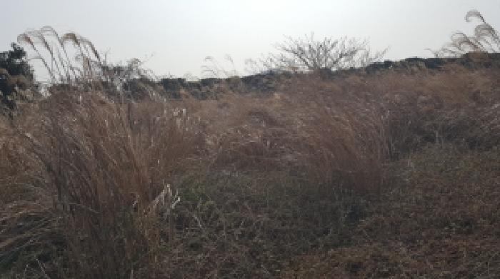 서귀포시 성산읍 난산리 임야 경매 물건 사진