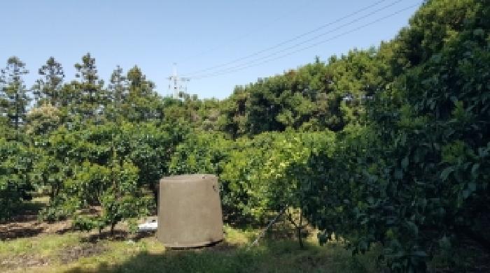 서귀포시 성산읍 신산리 전답 경매 물건 사진