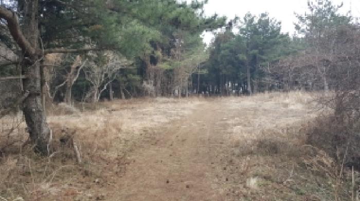 제주시 조천읍 와흘리 임야 경매 물건 사진