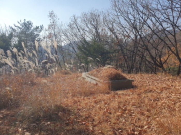 남양주시 호평동 산62 임야 경매 물건 사진