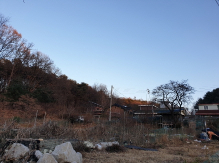 남양주시 오남읍 양지리 임야 경매 물건 사진