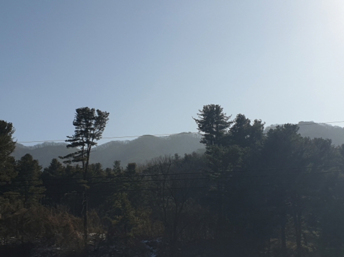 남양주시 오남읍 팔현리 임야 경매 물건 사진
