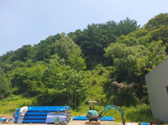 남양주시 화도읍 창현리 임야 경매 물건 사진