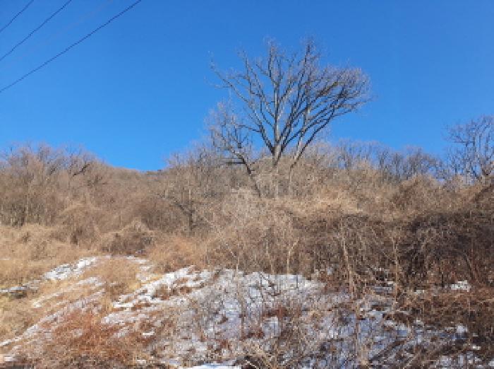 가평군 청평면 고성리 임야 경매 물건 사진