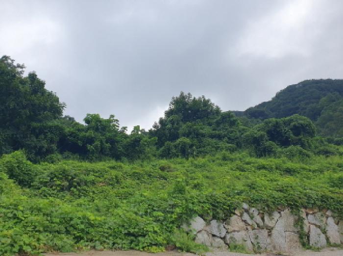 가평군 청평면 상천리 임야 경매 물건 사진
