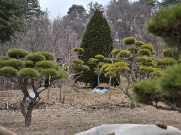 남양주시 진접읍 부평리 전 경매 물건 사진