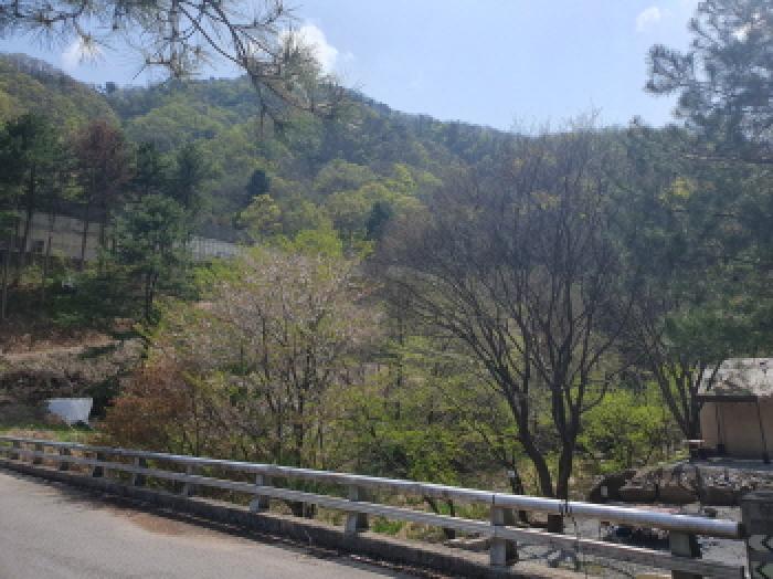 가평군 설악면 회곡리 도로 경매 물건 사진