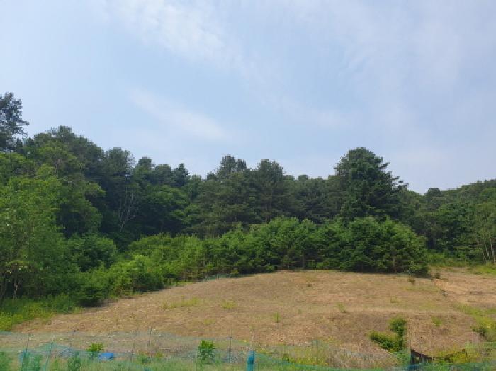 가평군 가평읍 산유리 대지 경매 물건 사진