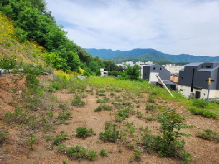 남양주시 진접읍 금곡리 단독주택 경매 물건 사진