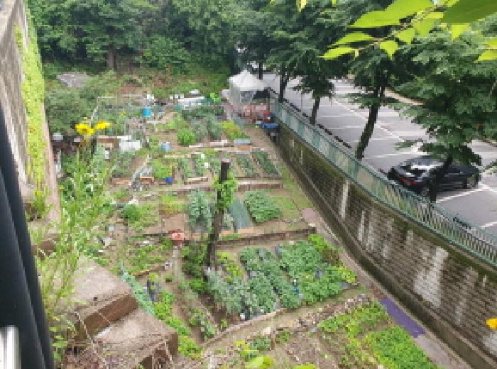 남양주시 화도읍 묵현리 답 경매 물건 사진