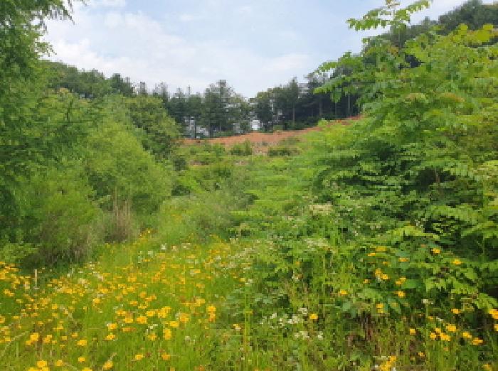 가평군 설악면 사룡리 대지 경매 물건 사진
