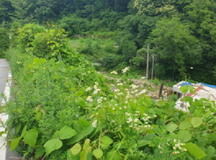 남양주시 수동면 지둔리 답 경매 물건 사진