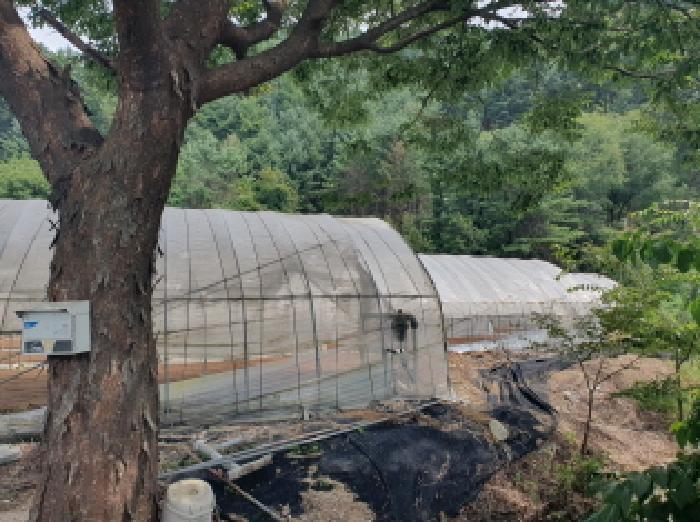 가평군 조종면 신하리 전 경매 물건 사진