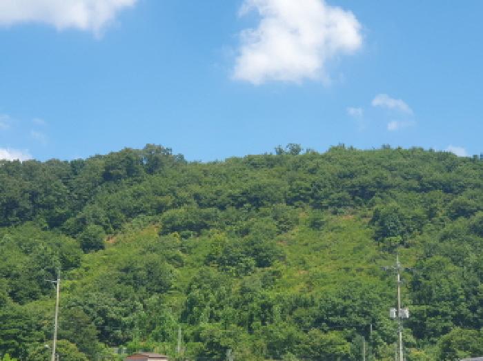 가평군 청평면 하천리 임야 경매 물건 사진