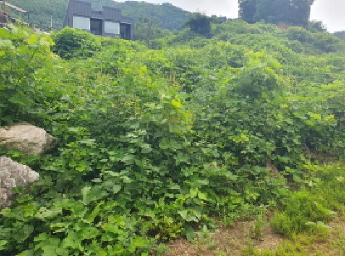 가평군 북면 백둔리 대지 경매 물건 사진