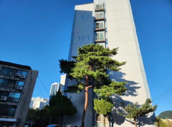 남양주시 와부읍 도곡리 아파트 경매 물건 사진