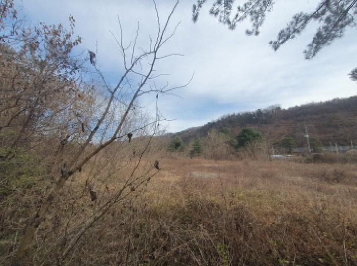 가평군 청평면 하천리 대지 경매 물건 사진