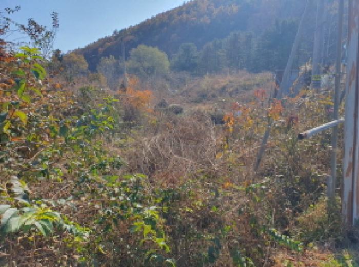 남양주시 수동면 입석리 단독주택 경매 물건 사진