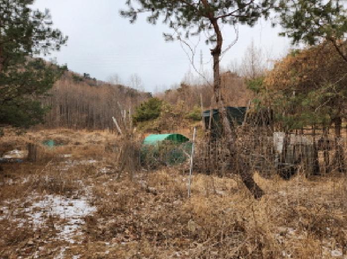 남양주시 별내동 2215 전답 경매 물건 사진