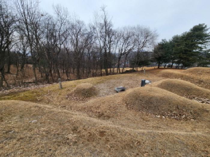 남양주시 일패동 산35-6 임야 경매 물건 사진
