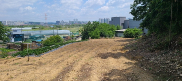 파주시 하지석동 157-3 전 경매 물건 사진